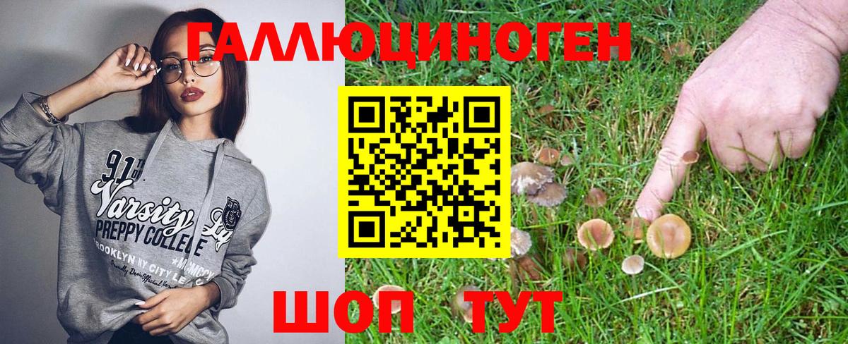 Галлюциногенные грибы ЛСД Хасавюрт