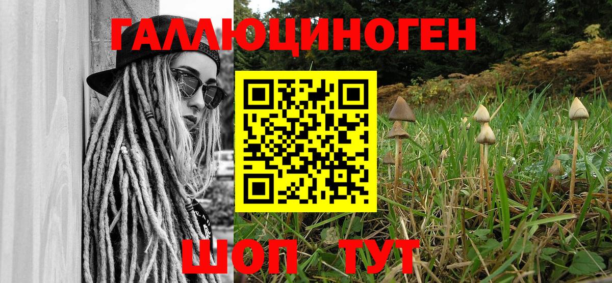Галлюциногенные грибы MAGIC MUSHROOMS  Галлюциногенные грибы Cubensis  Вход с VPN  Хасавюрт 